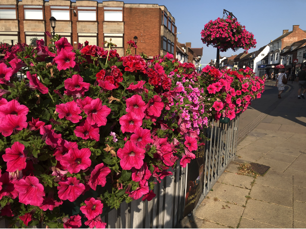 Our first - NEWSLETTER Featured Image