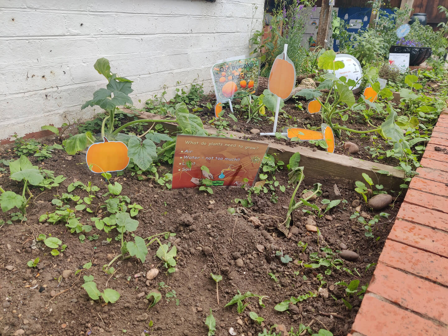 School Competition Results 2023 Featured Image